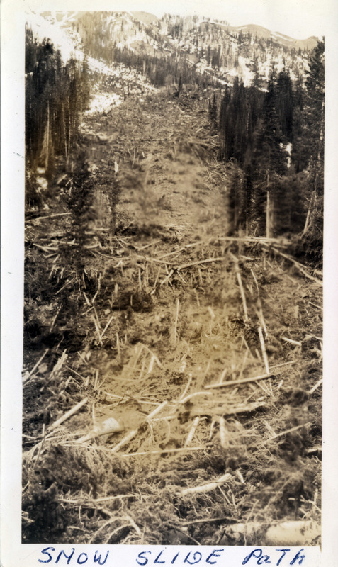 A snowslide path through a forested mountain area.