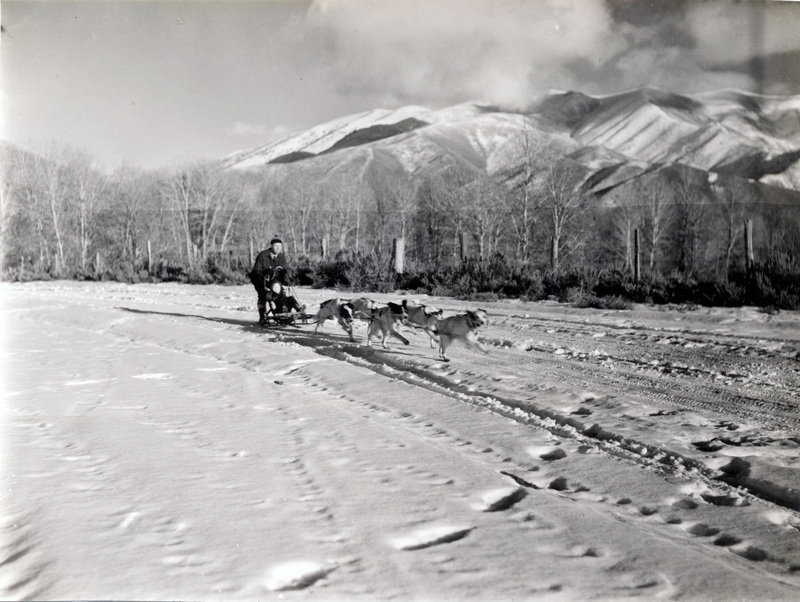 George Cutler and Unidentified Person, Dog Mushing