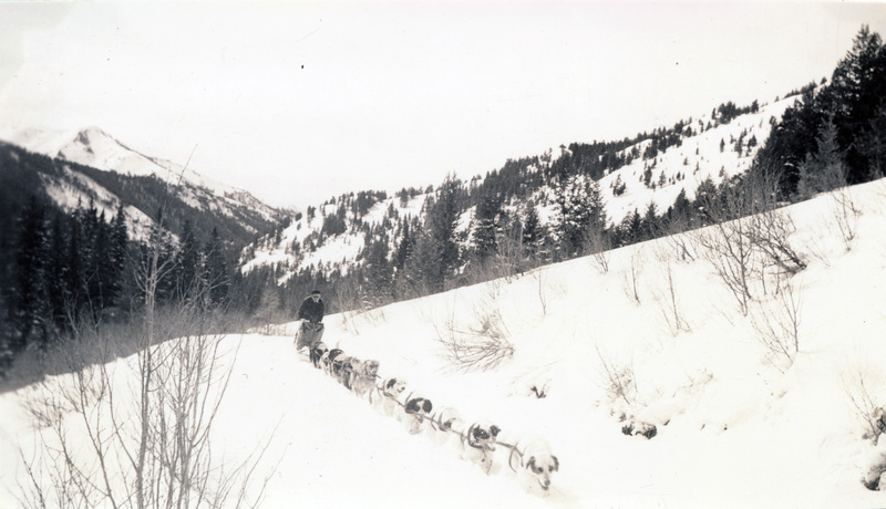 George Cutler, Dog Mushing