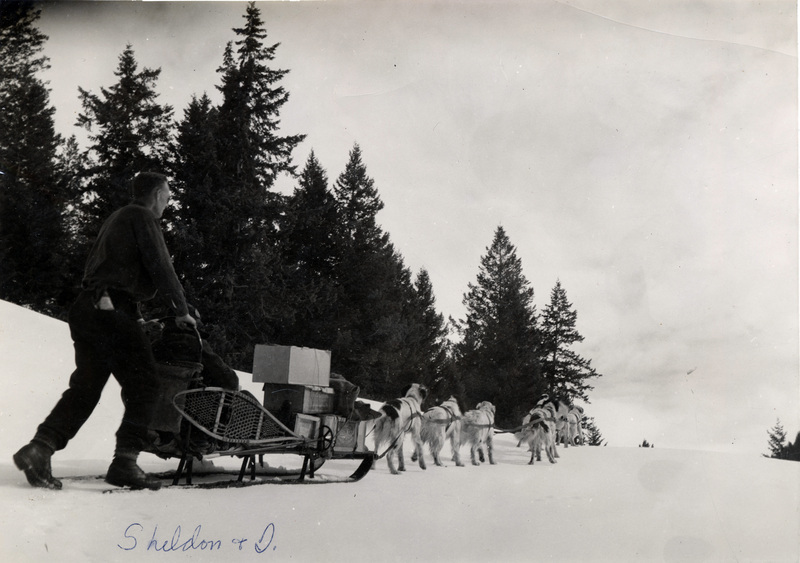 Sheldon Z. Thayer, Vernice Thayer in Sled