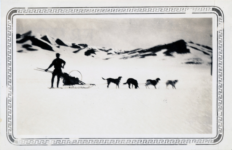 A person stands next to a sled which is attached to a team of four dogs in a snowy mountain landscape. The back of the photograph is stamped with the number 11.
