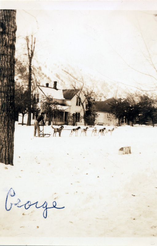 A person stands on a basket sled attached to a team of dogs in front of a house. "George" is written on the front of the photo. The back of the photograph is stamped with the number 16.
