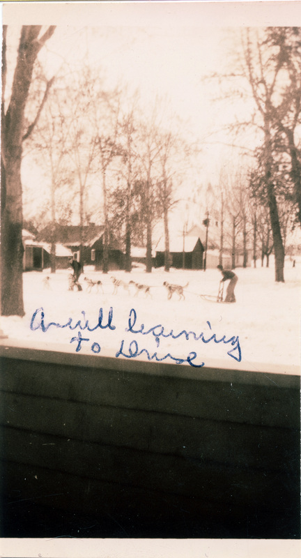 One person stands in a sled attached to a team of dogs, while a second person stands next to the dogs. "Averill learning to drive" is written on the front of the photograph.