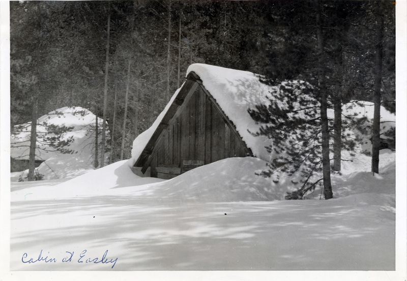 A snow-covered cabin in a forest area. "Cabin at Easley" is written on the front of the photograph.
