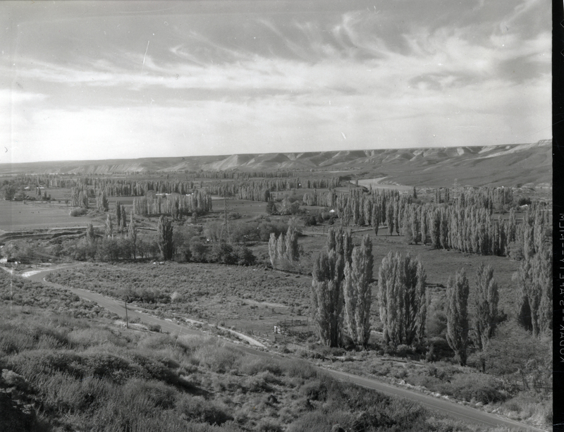A view from above of a road next to clusters of trees. A label on the back reads "003 Hagerman from Justice Grade 57."