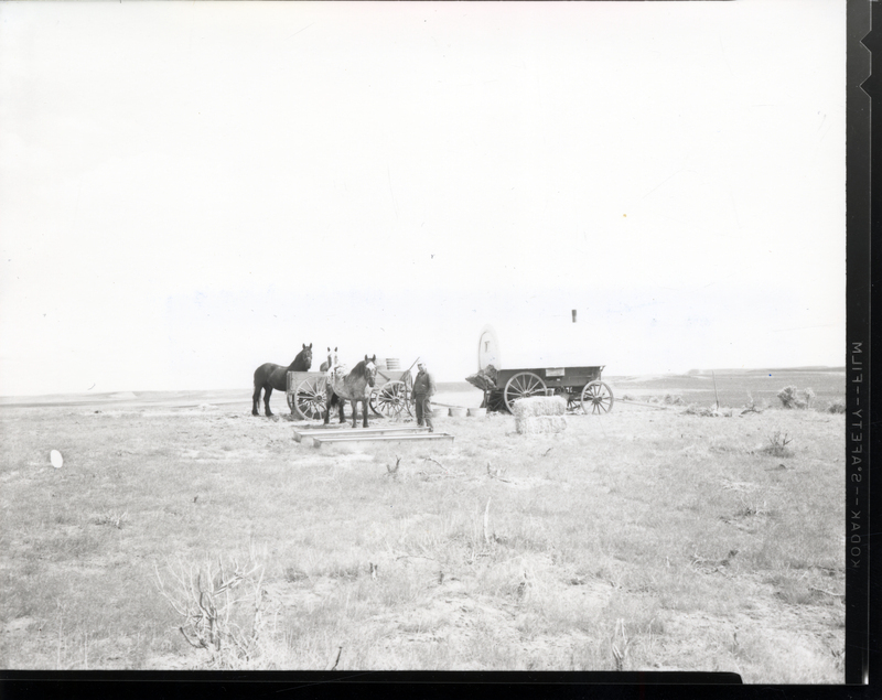 A person stands in a field with three horses and two wagons. A label on the back reads "1141 Sheep wagon on Jones Ranch."