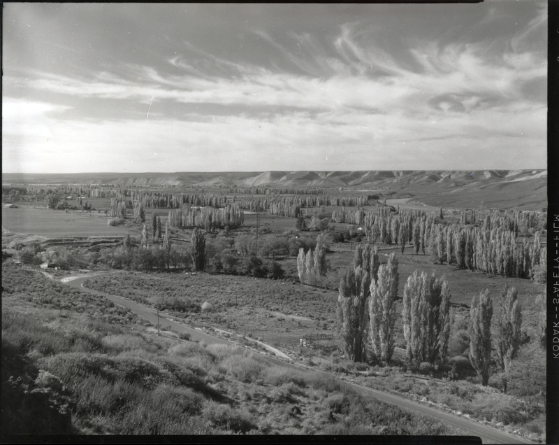 A view from above of a road next to clusters of trees. A label on the back reads "004 Hagerman from Justice Grade 59."