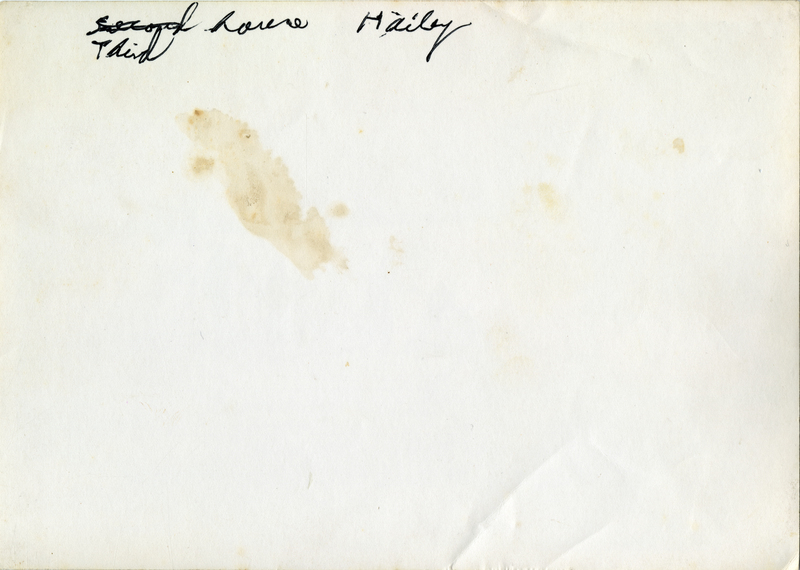 Third house Hailey skating