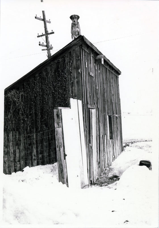Pat, garage of third house