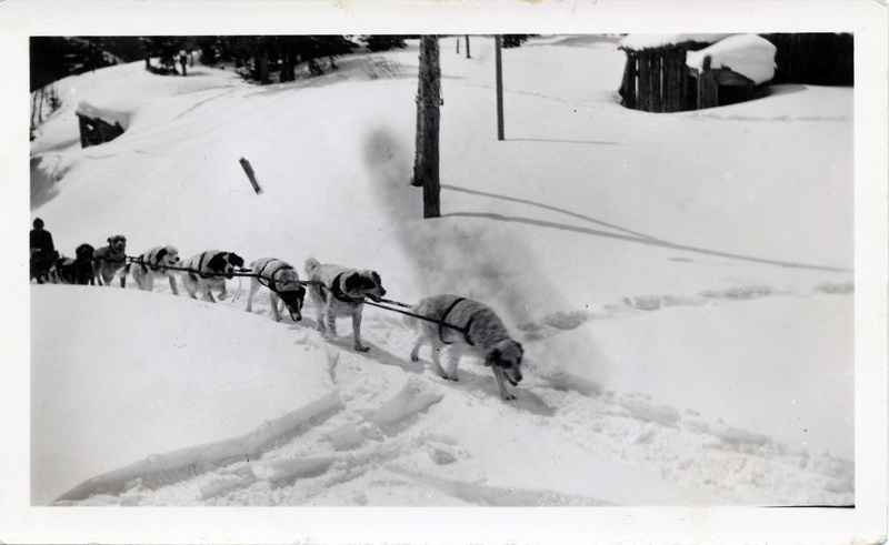 A team of sled dogs pulls a person on a sled through a snowy area. The back of the photograph is stamped with the number 4.