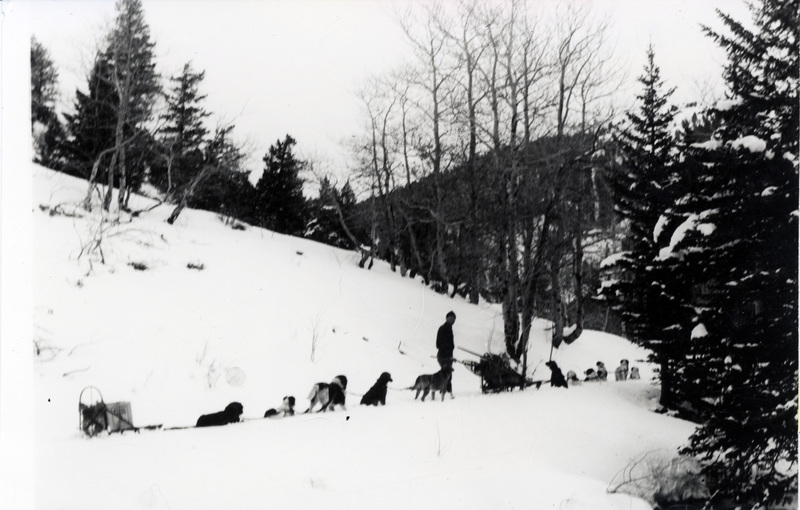 On trail to bring Mrs. Rutherford out