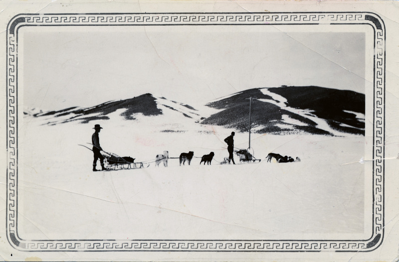 Power line check via dog team