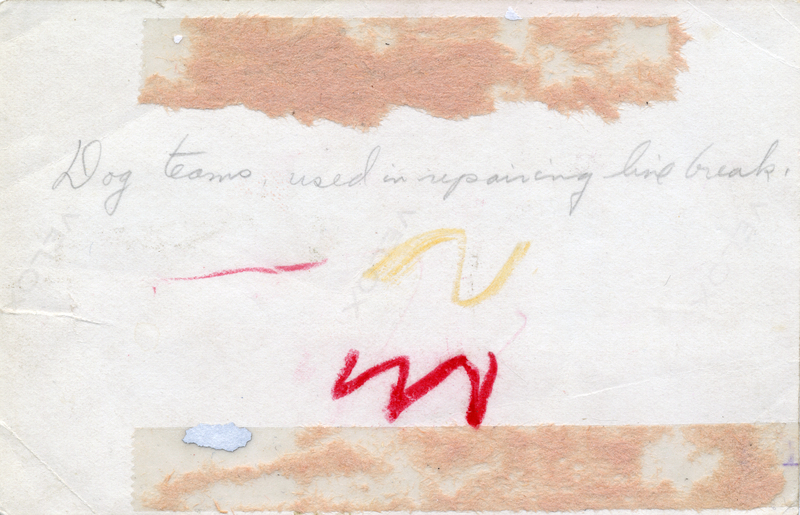 Power line check via dog team