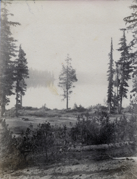 A few trees in front of a lake. On the back of the photo is written: "Early morning mists, Summit Lake Aug 1934."