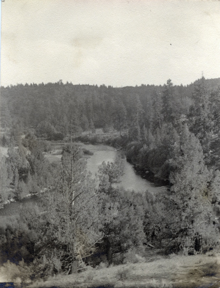A view of a river moving past trees. On the back of the photo is written: "Deschutes River near Tumalo, Aug 1934."