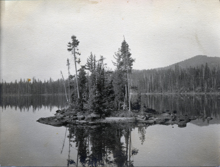 A circle of trees grows in a lake. On the back of the photograph is written: "Shadow Isle, Summit Lake Aug 1934."