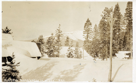 A postcard featuring a photo of a building and trees covered in snow. "Diamond Lake Lodge in winter. 465." is printed on the image. The back of the postcard is addressed to EM Thayer in Toledo, Oregon and reads, "Having a great time. Went out yesterday afternoon and caught our limit of Rainbow Trout will go to Crescent Lake next, Sheldon."