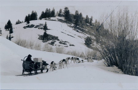 A team of dogs pulling a sled stand and lie down in the snow. "Short rest at Paymaster Gulch Apr-17-38" and "Easter Sunday on the way to Mascot Mine" are written on the back of the photograph.
