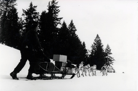 Two people and their supplies are pulled in a sled by a team of dogs. The photograph is taken from behind the sled. "Enroute Mascot Mine April 17" is written on the back of the photograph.