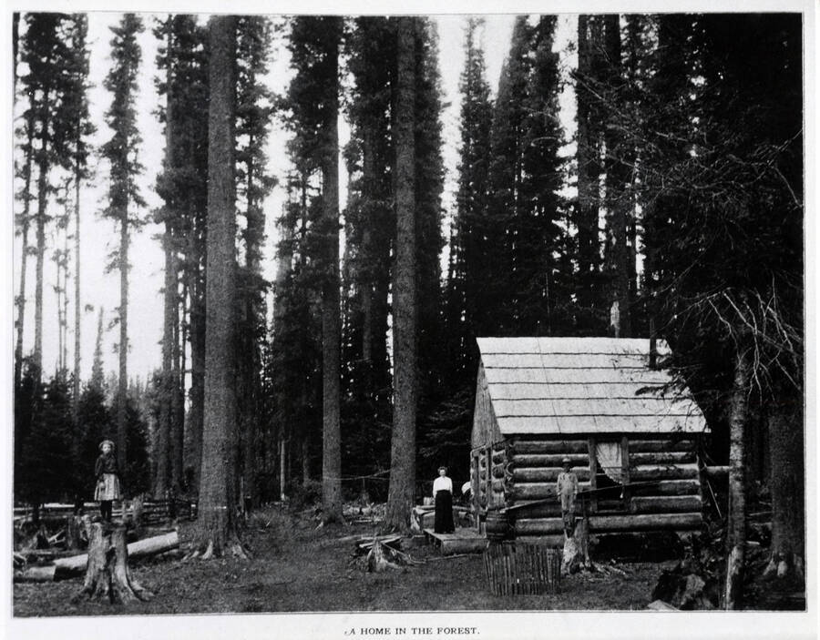 A homestead cabin at Collins, Idaho before 1906.