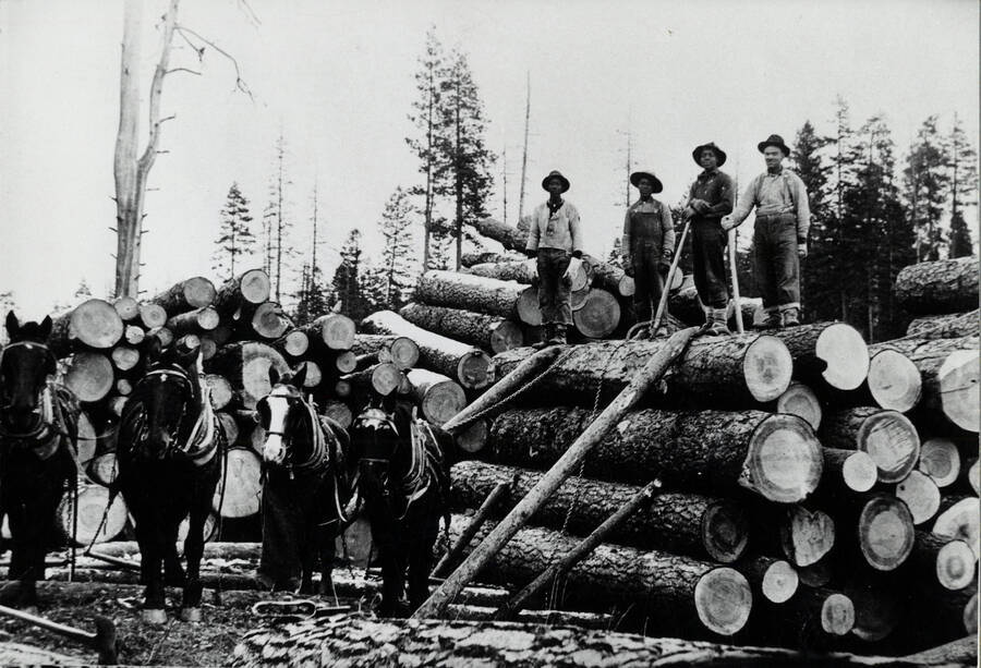 Joe, Roy, and Chuck Wells (left to right) stand atop a log deck. The man on the far right is unidentified. A team of horses stands to the left of the deck.