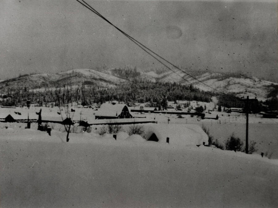 Potlatch Co. barns & north end of town as viewed from the former Bill Bailey place west of town. The horse barn is at center, and cow barn at mid-distance, right. The high hill in the distance was logged about WWI using caterpillar tractors, donkey engines, and a high-line. It was popularly known as Caterpillar Hill.