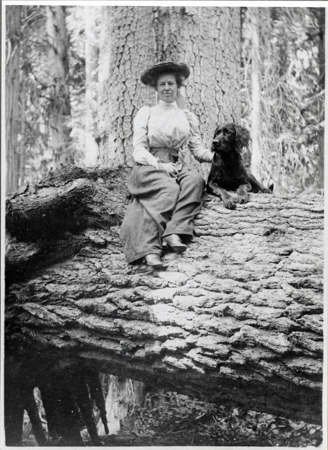 Kate Thompson, a friend of the Vollmers from Lewiston, sits on a white pine log beside a dog.