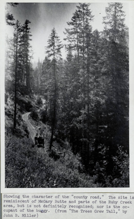 Showing the character of a 'County Road.' The site is reminiscent of McGary Butte and parts of the Ruby Creek area, but is not definitely recognized; nor is the occupant of the buggy.