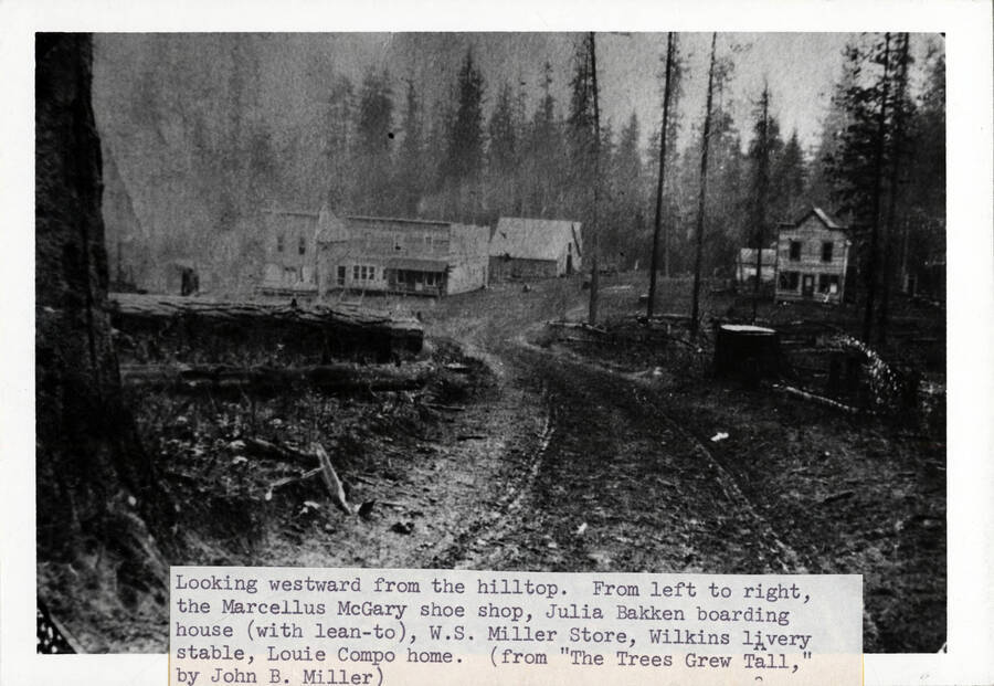 Looking westward from the hilltop in Helmer, Idaho. From left to right, the Marcellus McGary shoe shop, Julia Bakken boarding house (with lean-to), W.S. Miller store, Wilkins livery stable, Louie Compo home.
