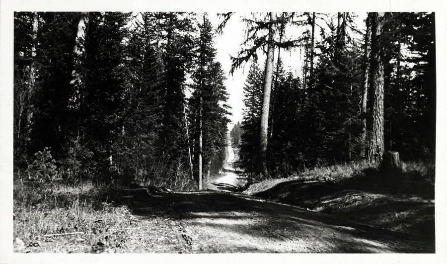 This was in the days of poorly graded 'state' roads. The hill was a proving ground for early autos. Any that could make the last steep slope without going into low gear was 'quite a car.'' From The Trees Grew Tall by John B. Miller.