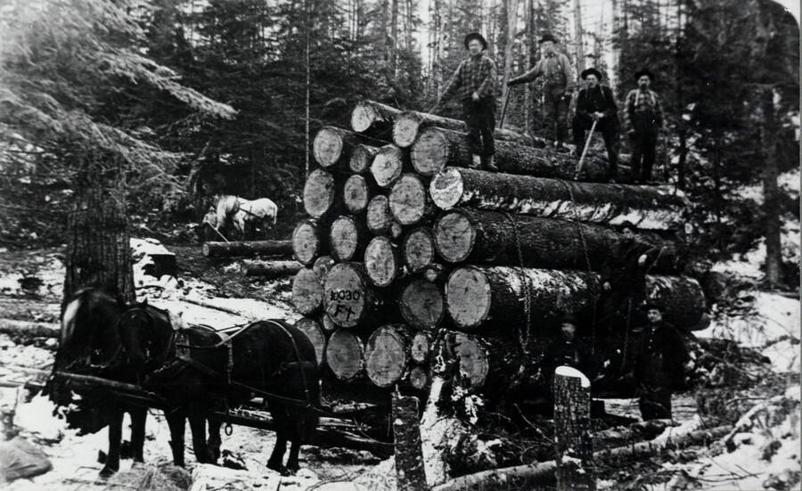A sleigh hauling logs to Bovill, Idaho. On the ground, left to right: Fred Alt, Cleter Bellis, George Chrystal. On top, left to right: Dan Murphy, Harris Benscotter, unidentified, unidentified.