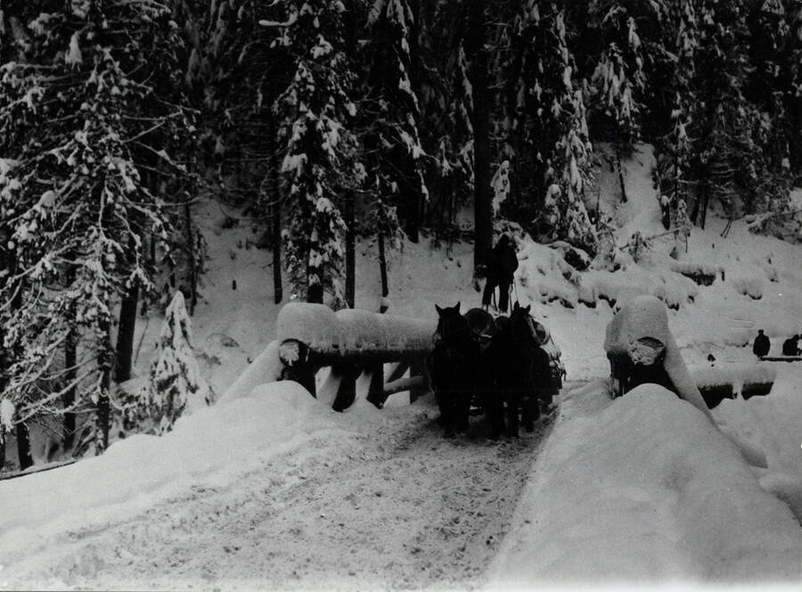 Horse-drawn sleigh load of logs passes over bridge.