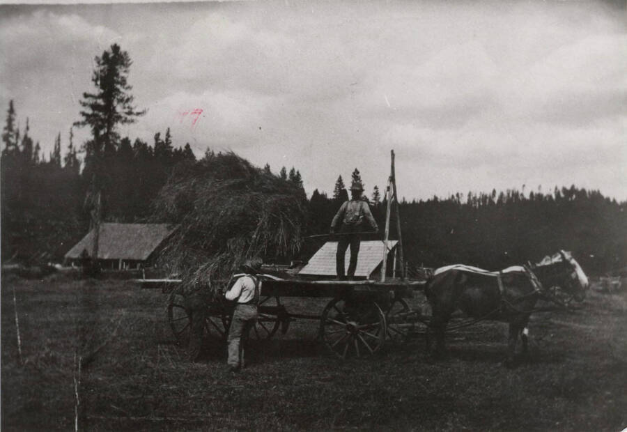 Two men stacking hay on wagon, at the Bovill ranch. The view looks northeastward.