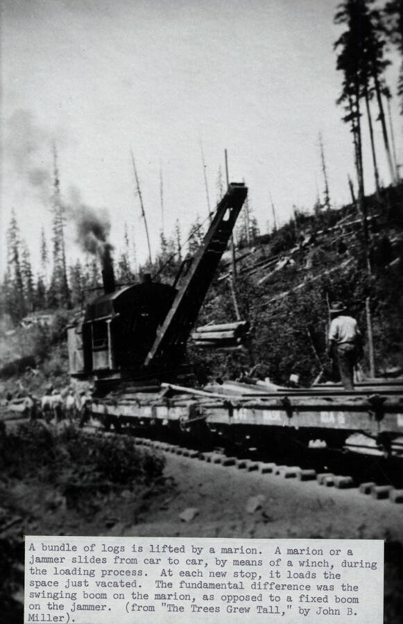 A bundle of logs is lifted by a marion jammer. A marion or a jammer slides from car to car, by means of a winch, during the loading process. At each new stop, it loads the space just vacated. The fundamental difference was the swinging boom on the marion, as opposed to a fixed boom on the jammer.