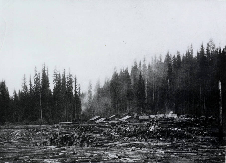Potlatch Lumber Company's Camp 8 near Bovill, Idaho. Log storage and cabins in background. Copy of a photo in 'Potlatch Lumber Company' booklet.