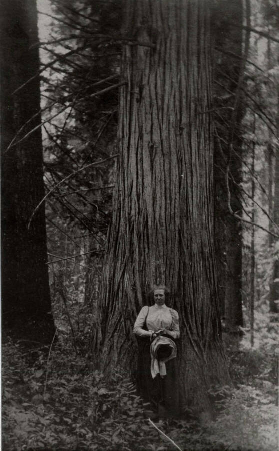 Kate Thompson standing in the woods beside a cedar tree.
