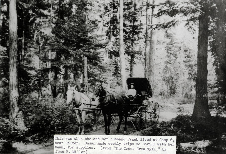 This was in 1919 when she and her husband Frank lived at Camp 6, near Helmer. Susan made weekly trips to Bovill with her team for supplies.