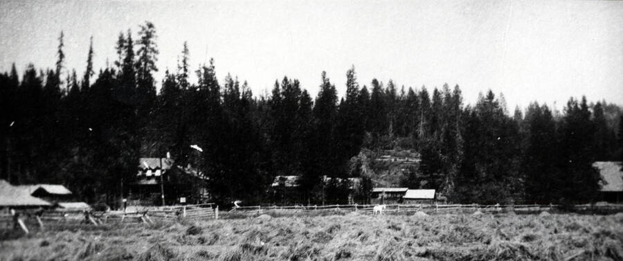 The Bovill hotel and store are the tall buildings that can be seen through the trees on the left side of the photograph. Other structures are unidentified.