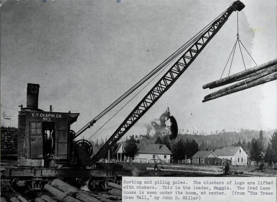 Sorting and piling poles. The clusters of logs are lifted with chokers. This is the loader, Maggie. The Fred Lane house is seen under its boom, at center.