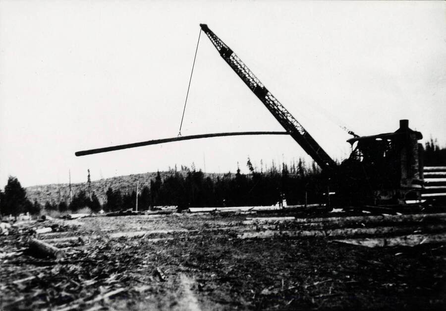 A big pole, possibly ninety feet long. This was during early years, possibly 1914, when the pole storage extended along track 5, into the area east of the Elk River road. Note extensive timber extending to the flat past wheat was the George Chrystal place, and the fresh litter of recent logging on the hill beyond, in the direction of the present airport.