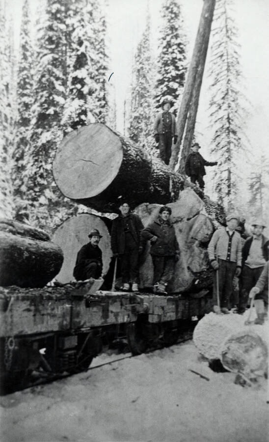 A load of white pine logs on a flatcar. People in photograph are unidentified.