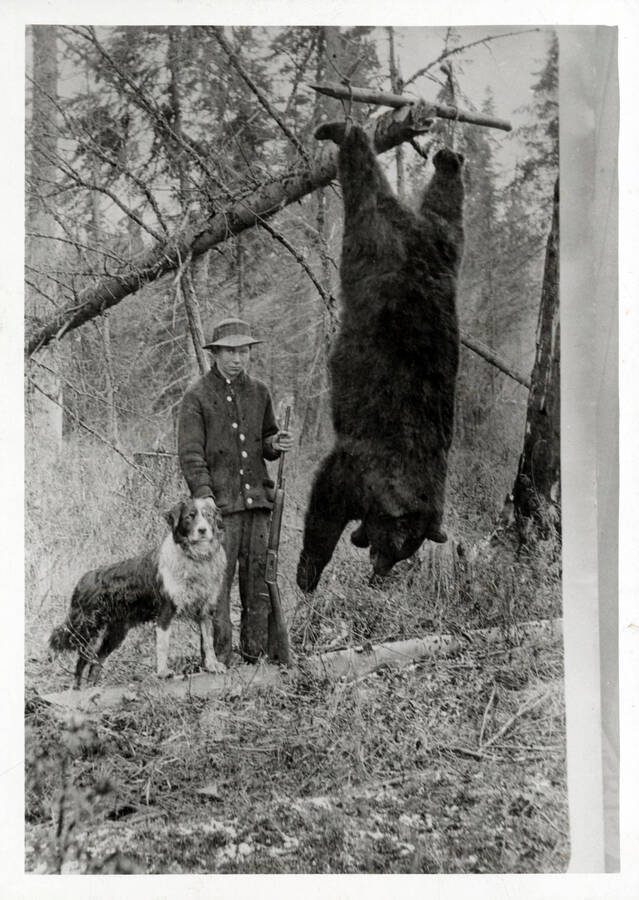 Orvil Anderson with a grizzly bear strung up. He is pictured with his rifle, which appears to be a Winchester Model 1892, and his dog.