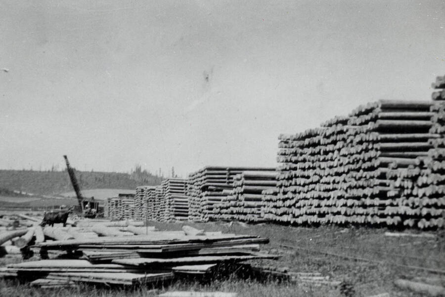 Sorted logs at the cedar yard in Bovill, Idaho.