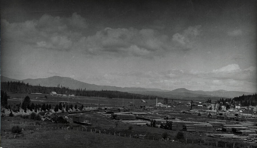Cedar yard near Bovill, Idaho. Beal's Butte is in the distance, left, and Abe's Knob is right of center.