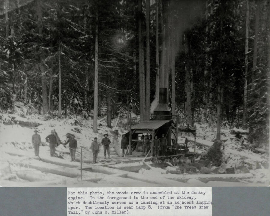 In this photo, a woods crew is assembled at a donkey engine near Potlatch Lumber Company's Camp 8. In the foreground is the end of the skidway, which doubtlessly serves as a landing at an adjacent logging spur.