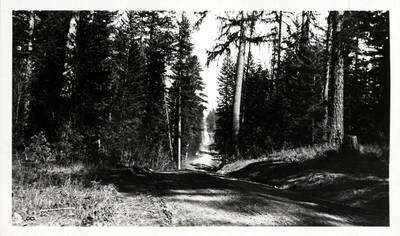 This was in the days of poorly graded 'state' roads. The hill was a proving ground for early autos. Any that could make the last steep slope without going into low gear was 'quite a car.'' From The Trees Grew Tall by John B. Miller.