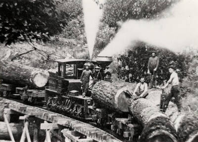 Shay engine and loaded logs somewhere in the woods. Note the trestle over a ravine.