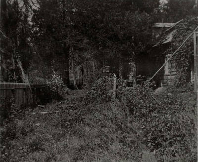 The yard of the Warren cabin in Bovill, Idaho.