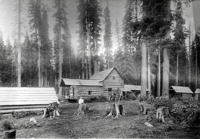 The Trumbell homestead in Elk River, Idaho
