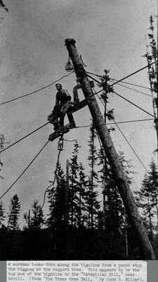 A worker looking down along the highline from a perch atop the rigging at the support tree. This appears to be the top end of the highline on the 'Caterpillar Hill,' near Bovill.